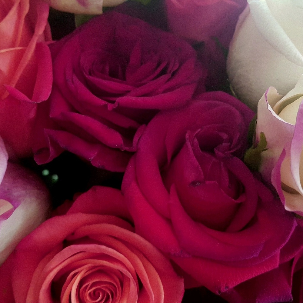 Meet your Posher, Charlene